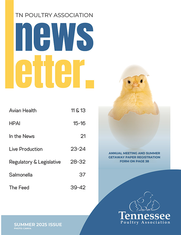 Newsletter Cover Image