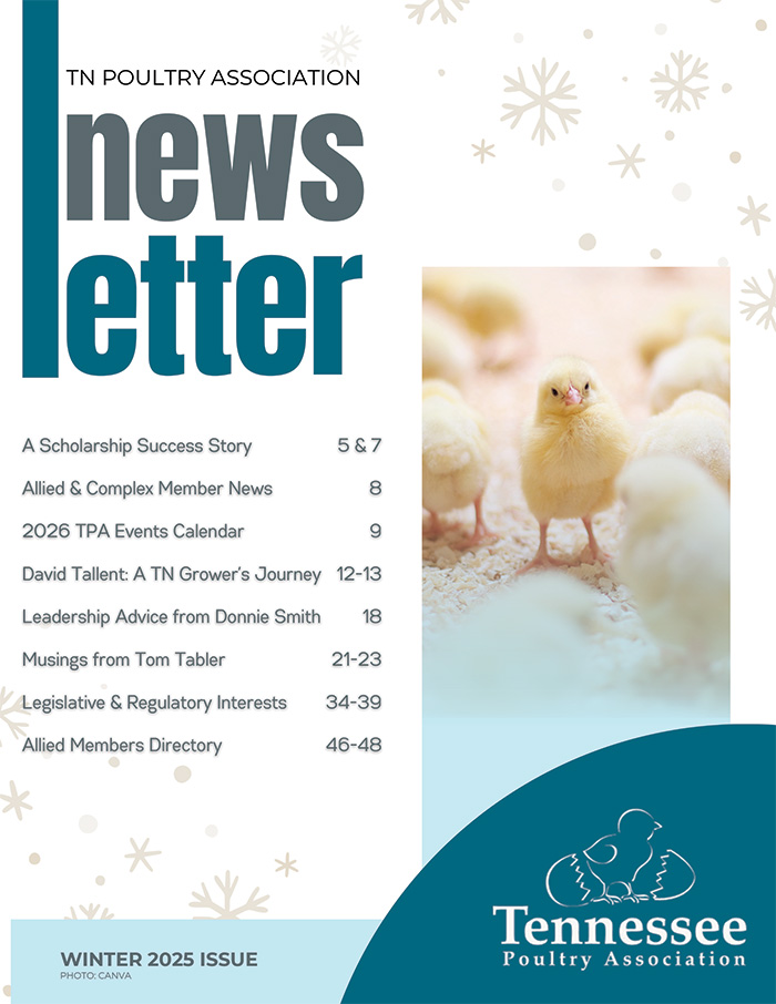 Newsletter Cover Image