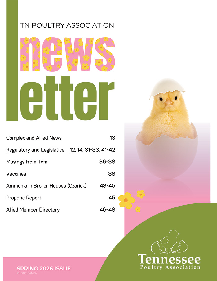 Newsletter Cover Image